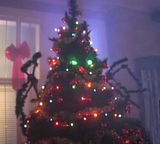 x-tree.jpg image by vulcancentralcommand