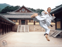 Flying-Kick-Animation.gif image by blazzing
